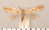  ( - CLV270911)  @12 [ ] Copyright (2011) David C. Lees Research Collection of David C. Lees