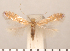  ( - CLV271011)  @12 [ ] Copyright (2011) David C. Lees Research Collection of David C. Lees