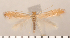  ( - CLV2714)  @12 [ ] Copyright (2011) David C. Lees Research Collection of David C. Lees