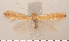  ( - CLV2715)  @12 [ ] Copyright (2011) David C. Lees Research Collection of David C. Lees