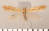  ( - CLV2717)  @12 [ ] Copyright (2011) David C. Lees Research Collection of David C. Lees