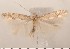  ( - CLV2843)  @13 [ ] Copyright (2011) David C. Lees Unspecified