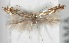  ( - CLV5762)  @13 [ ] Copyright (2012) Alain Cama Unspecified