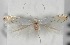  ( - CLV580812)  @13 [ ] Copyright (2012) Alain Cama Unspecified
