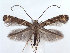  ( - DP09031)  @14 [ ] Copyright (2010) Unspecified Research Collection of W. and J. De Prins