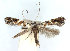  ( - DP09093)  @11 [ ] Copyright (2010) Unspecified Research Collection of W. and J. De Prins