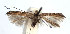  ( - DP09099)  @11 [ ] Copyright (2010) Unspecified Research Collection of W. and J. De Prins