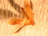  ( - FG55)  @12 [ ] Copyright (2011) Florence Gutzwiller Unspecified