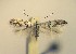  ( - LG6aceri)  @13 [ ] Copyright (2012) Zdenek Lastuvka Unspecified