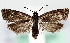  ( - MM26373)  @11 [ ] CreativeCommons  Attribution Non-Commercial Share-Alike (2022) Unspecified University of Oulu