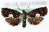  ( - MM26376)  @11 [ ] CreativeCommons  Attribution Non-Commercial Share-Alike (2022) Unspecified University of Oulu