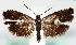  ( - MM26377)  @11 [ ] CreativeCommons  Attribution Non-Commercial Share-Alike (2022) Unspecified University of Oulu