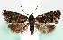  ( - MM26378)  @11 [ ] CreativeCommons  Attribution Non-Commercial Share-Alike (2022) Unspecified University of Oulu