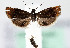  ( - MM26691)  @11 [ ] CreativeCommons  Attribution Non-Commercial Share-Alike (2022) Unspecified University of Oulu