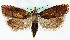  ( - MM26696)  @14 [ ] CreativeCommons  Attribution Non-Commercial Share-Alike (2022) Unspecified University of Oulu
