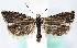 ( - MM26708)  @11 [ ] CreativeCommons  Attribution Non-Commercial Share-Alike (2022) Unspecified University of Oulu