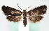  ( - MM26711)  @11 [ ] CreativeCommons  Attribution Non-Commercial Share-Alike (2022) Unspecified University of Oulu