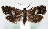  ( - MM26715)  @11 [ ] CreativeCommons  Attribution Non-Commercial Share-Alike (2022) Unspecified University of Oulu