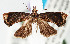  ( - USNMENT.00808629)  @11 [ ] CreativeCommons  Attribution Non-Commercial Share-Alike (2022) Unspecified University of Oulu