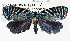  ( - USNMENT.01480309)  @11 [ ] CreativeCommons  Attribution Non-Commercial Share-Alike (2022) Unspecified University of Oulu