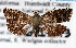  ( - USNMENT.01480331)  @11 [ ] CreativeCommons  Attribution Non-Commercial Share-Alike (2022) Unspecified University of Oulu
