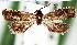  ( - USNMENT.01480332)  @11 [ ] CreativeCommons  Attribution Non-Commercial Share-Alike (2022) Unspecified University of Oulu