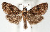 ( - USNMENT.01480338)  @11 [ ] CreativeCommons  Attribution Non-Commercial Share-Alike (2022) Unspecified University of Oulu