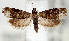  ( - USNMENT.01480343)  @11 [ ] CreativeCommons  Attribution Non-Commercial Share-Alike (2022) Unspecified University of Oulu