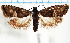  ( - USNMENT.01480349)  @11 [ ] CreativeCommons  Attribution Non-Commercial Share-Alike (2022) Unspecified University of Oulu