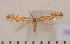  ( - CLV1544)  @14 [ ] Copyright (2011) David C. Lees Research Collection of David C. Lees