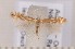  ( - CLV1549)  @14 [ ] Copyright (2011) David C. Lees Research Collection of David C. Lees