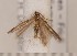  ( - CLV1688)  @13 [ ] Copyright (2010) David C. Lees Unspecified