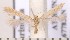  ( - CLV1746)  @14 [ ] Copyright (2010) David C. Lees Research Collection of David C. Lees