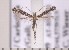  ( - CLV1797)  @12 [ ] Copyright (2010) David C. Lees Research Collection of David C. Lees