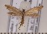 ( - CLV1828)  @14 [ ] Copyright (2010) David C. Lees Research Collection of David C. Lees