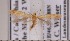  ( - CLV1830)  @14 [ ] Copyright (2010) David C. Lees Research Collection of David C. Lees