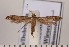  ( - CLV1858)  @14 [ ] Copyright (2010) David C. Lees Research Collection of David C. Lees