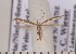  ( - CLV1861)  @14 [ ] Copyright (2010) David C. Lees Research Collection of David C. Lees