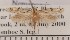  (Nemapogon gravosaellus - CLV1933)  @12 [ ] Copyright (2011) David C. Lees Unspecified