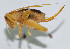  ( - DBJ-26)  @13 [ ] CreativeCommons - Attribution (2010) Zhi-Jun Zhou Centre for Biodiversity Genomics
