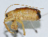  ( - DBJ-65)  @13 [ ] CreativeCommons - Attribution (2010) Zhi-Jun Zhou Centre for Biodiversity Genomics