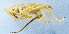  ( - DBJ-89)  @12 [ ] CreativeCommons - Attribution (2010) Zhi-Jun Zhou Centre for Biodiversity Genomics