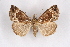  ( - CCDB-04645 D09)  @11 [ ] Unspecified (default): All Rights Reserved  Unspecified Unspecified