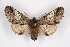  ( - CCDB-04645 D12)  @14 [ ] Unspecified (default): All Rights Reserved  Unspecified Unspecified