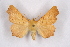  ( - CCDB-04645 E01)  @14 [ ] Unspecified (default): All Rights Reserved  Unspecified Unspecified