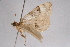  ( - CCDB-04645 F10)  @11 [ ] Unspecified (default): All Rights Reserved  Unspecified Unspecified