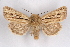  (Mythimna andereggii - CCDB-04645 H10)  @15 [ ] Unspecified (default): All Rights Reserved  Unspecified Unspecified