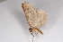  ( - CCDB-02114 E03)  @11 [ ] Unspecified (default): All Rights Reserved  Unspecified Unspecified
