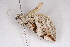  ( - CCDB-02114 G02)  @12 [ ] Unspecified (default): All Rights Reserved  Unspecified Unspecified