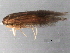  ( - 10HDT-006)  @12 [ ] CreativeCommons - Attribution (2010) CBG Photography Group Centre for Biodiversity Genomics